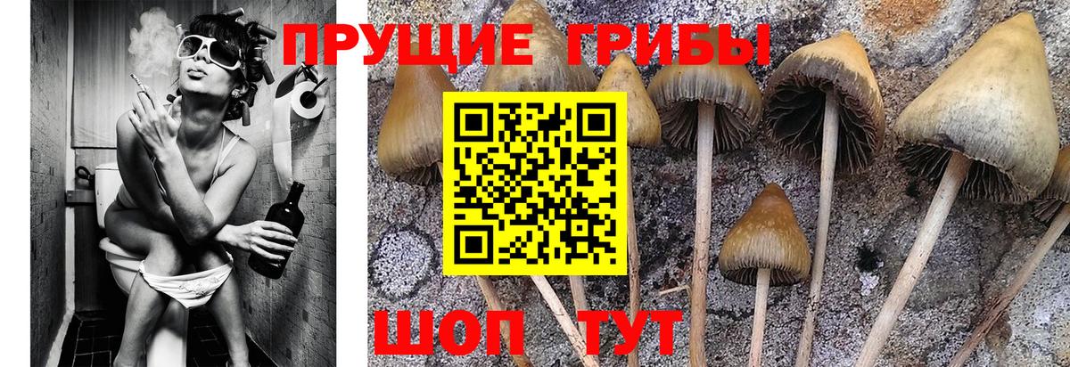 Псилоцибиновые грибы Magic Shrooms Барнаул